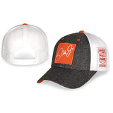 Dale Earnhardt Jr Hall of Fame Class of 2021 Heather Gray Front Snapback