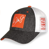 Dale Earnhardt Jr Hall of Fame Class of 2021 Heather Gray Front Snapback
